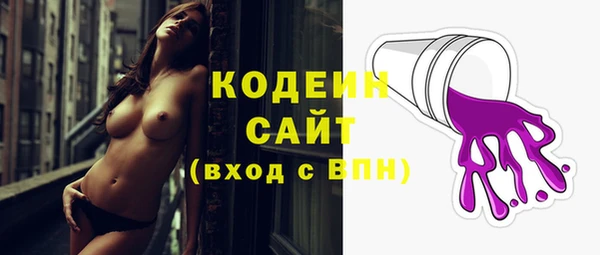 ECSTASY Лагань