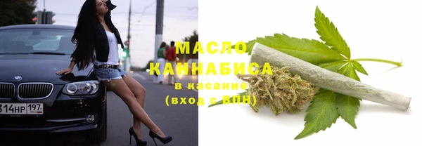 ECSTASY Лагань