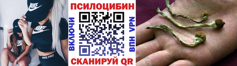 как найти Якутск гидра ТОР Галлюциногенные грибы Cubensis